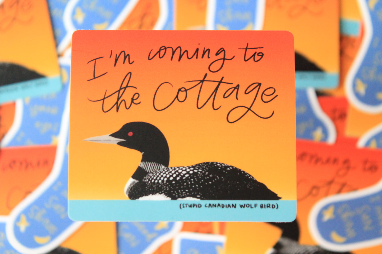 HR Cottage Loon, Banana Socks Vinyl Stickers